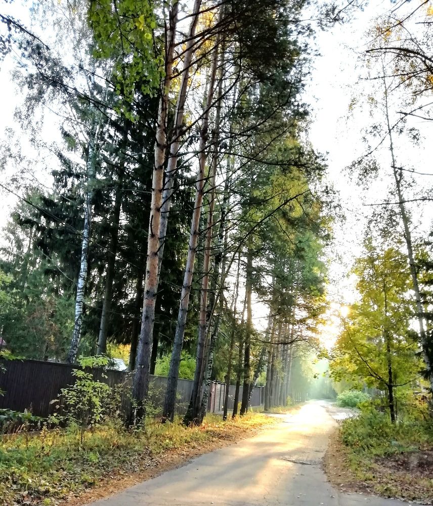 Photograph by Карина
