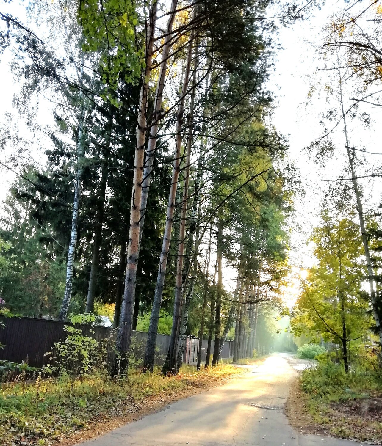 Photo #5878066