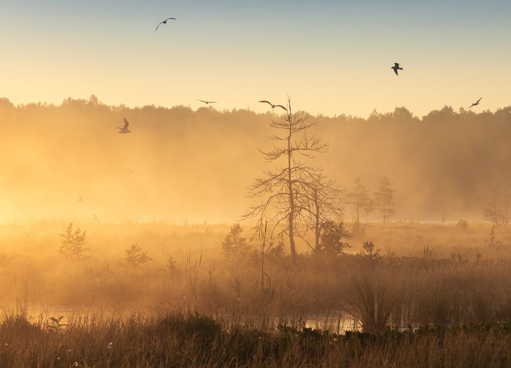 Photograph by Александр Овсенёв