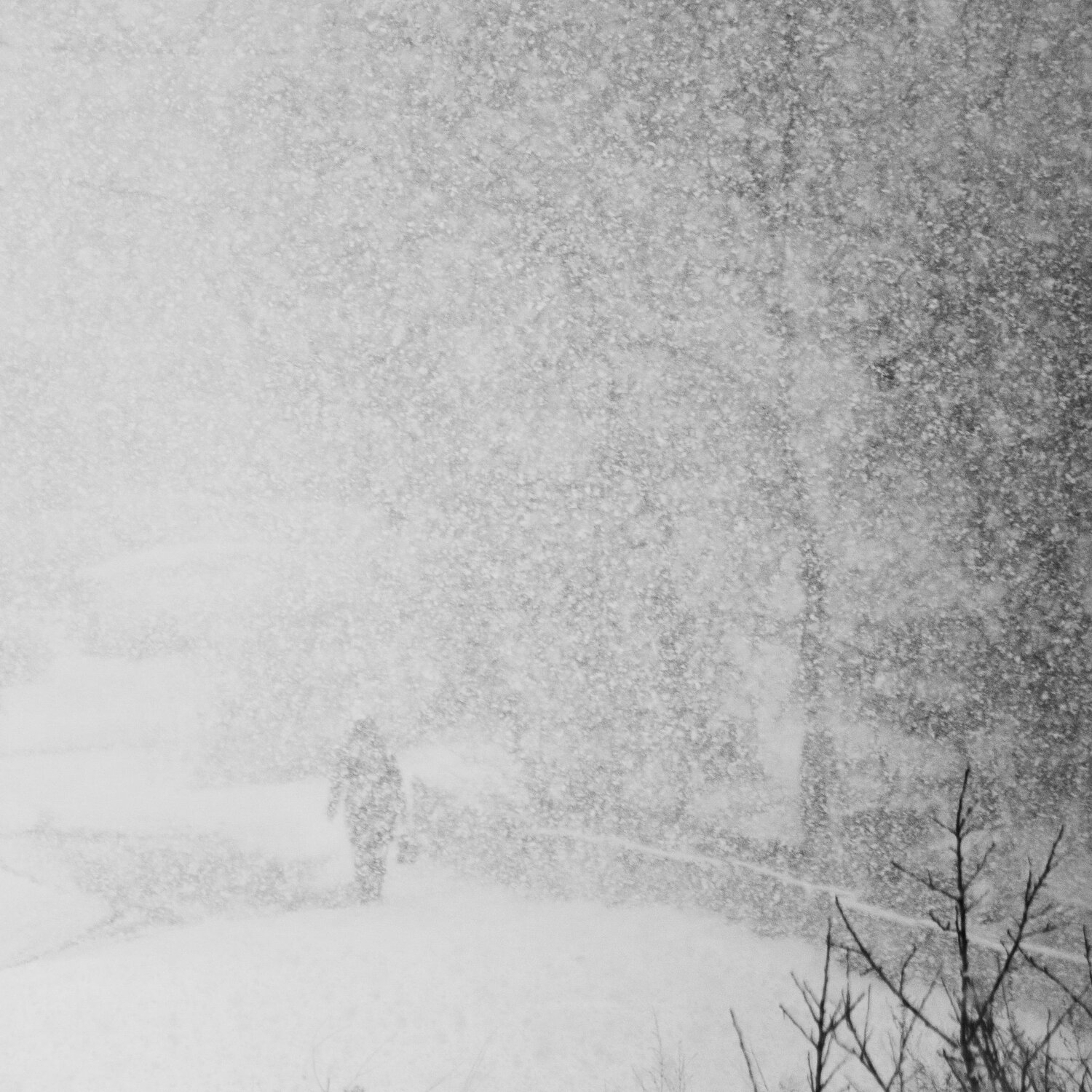 Photo #5878101
