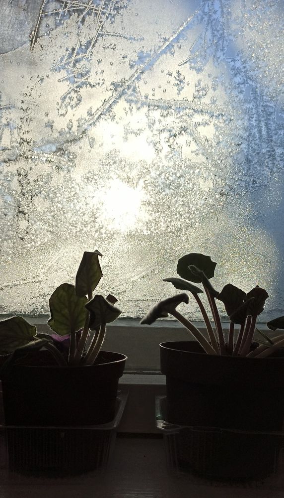 Photograph by Людмила Протасова