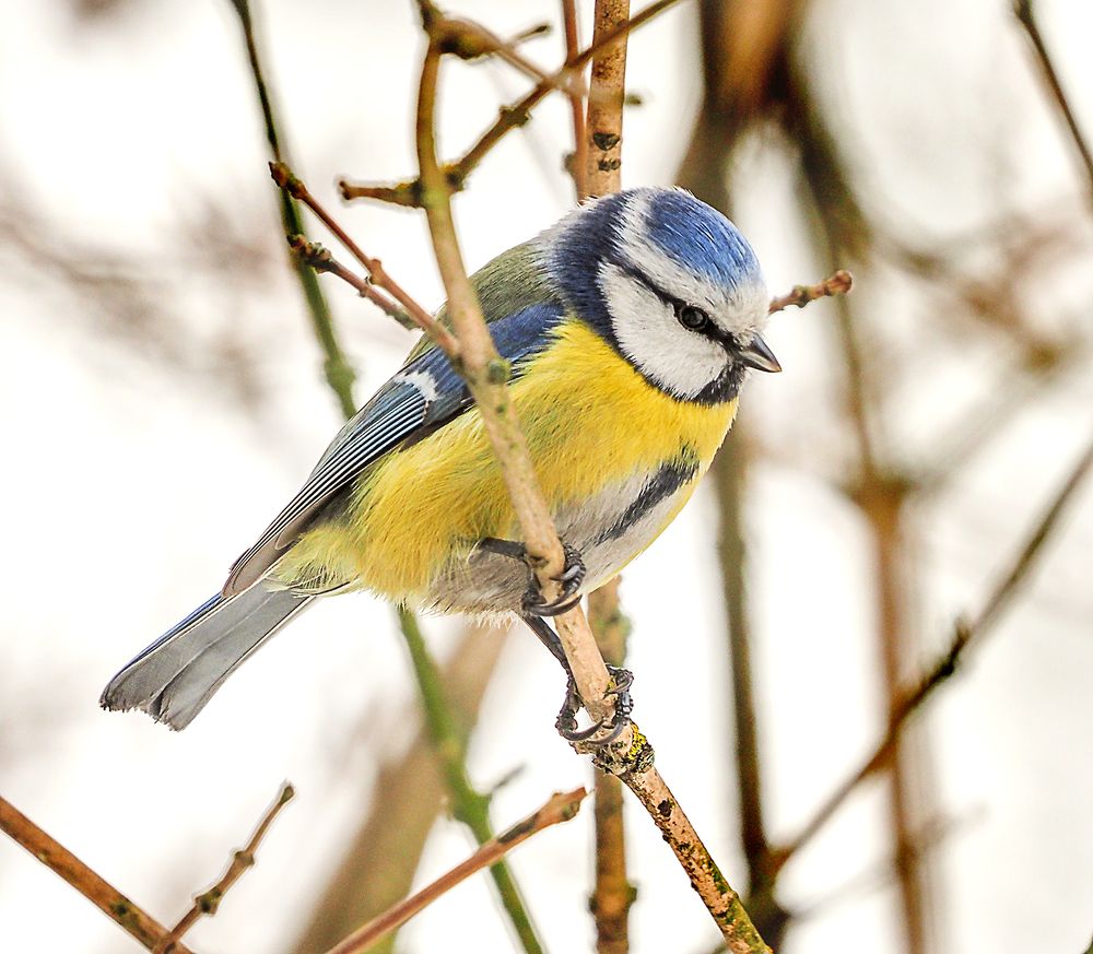 зима уходит