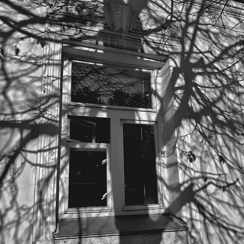 Photograph by Олеся Бухарова