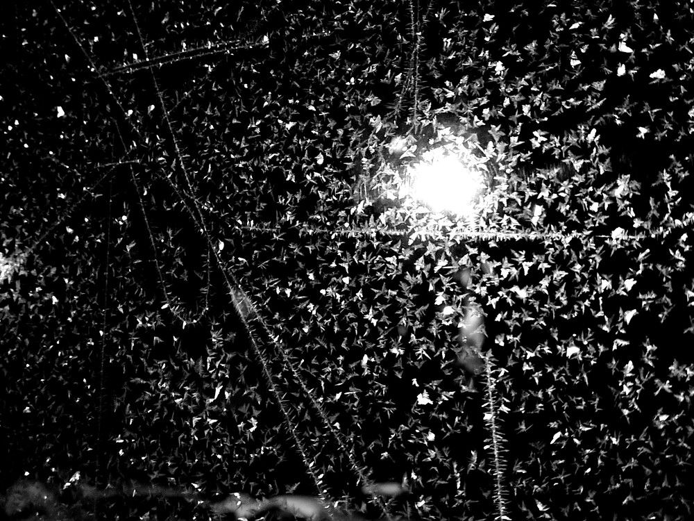 Photograph by Karina Yakovleva