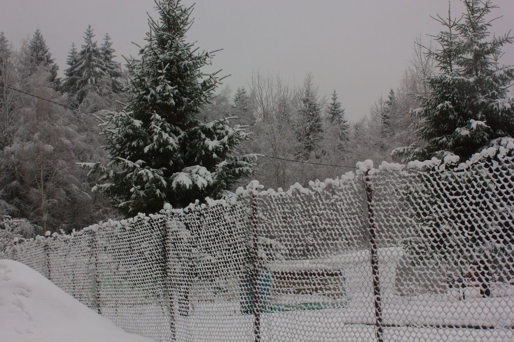 Photograph by Светлана Попкова