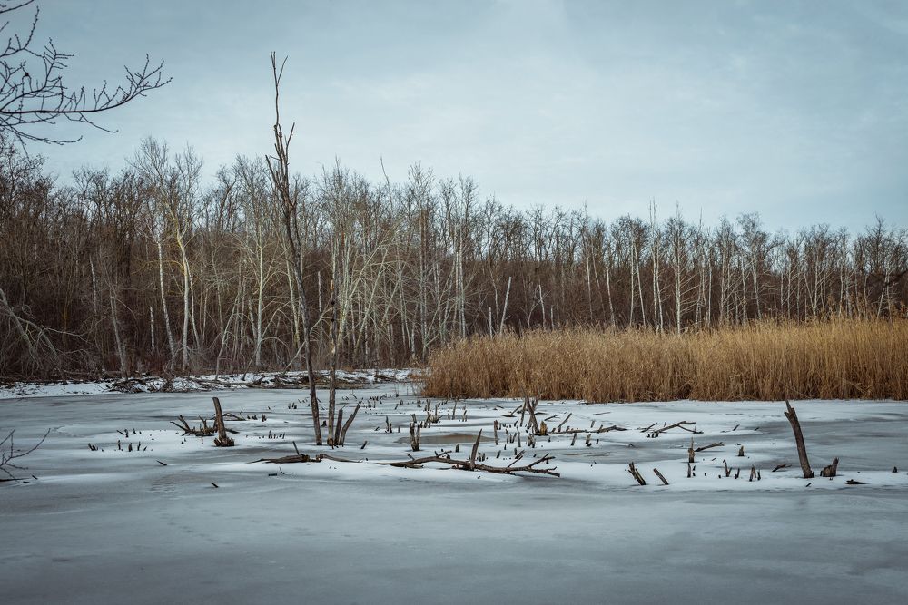 Photograph by Дмитрий Радченко