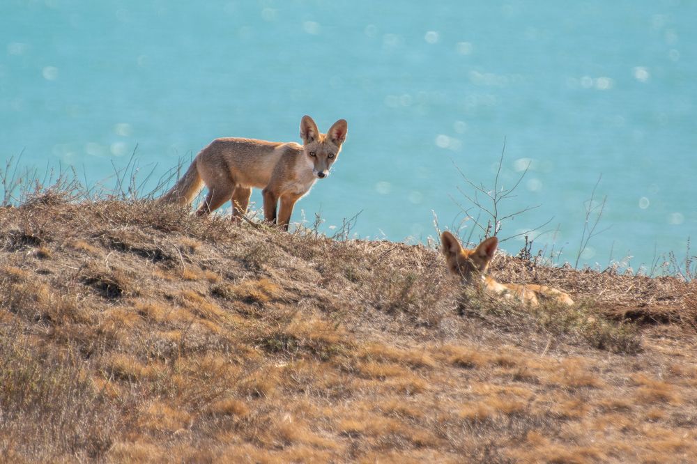 Photograph by Илья Тильман
