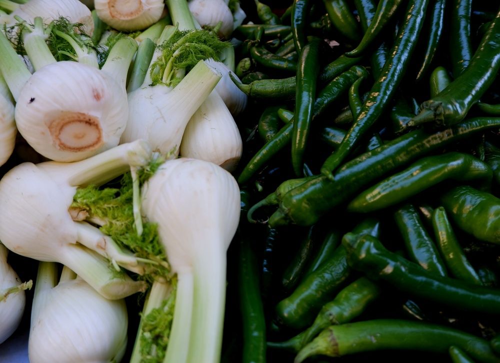 Photograph by Диана Арье