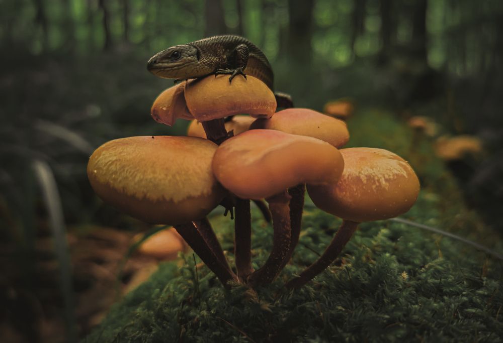 Photograph by Иван Перевезенцев