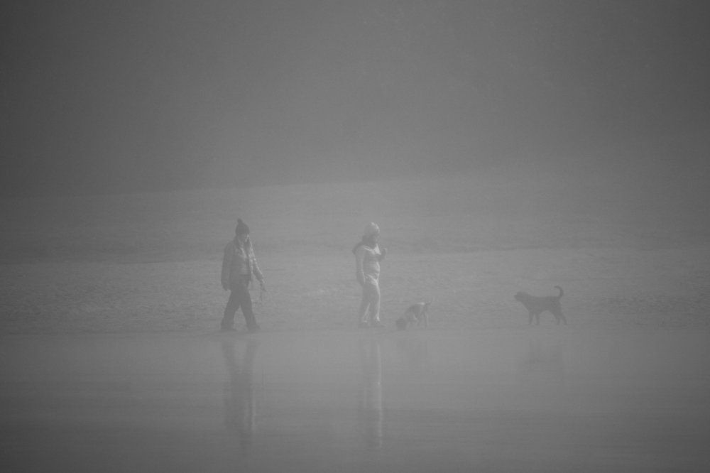 Фотография автора Maliyadewa Wadupola