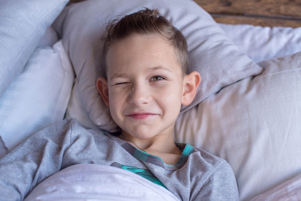 Похищение сладостей