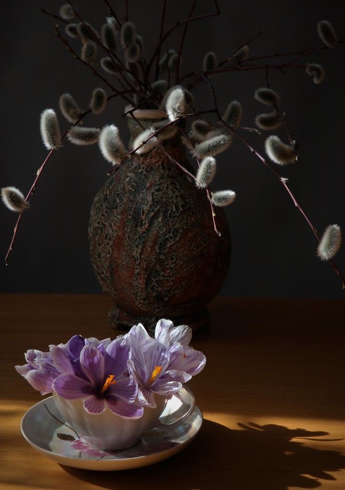 Верба и крокусы