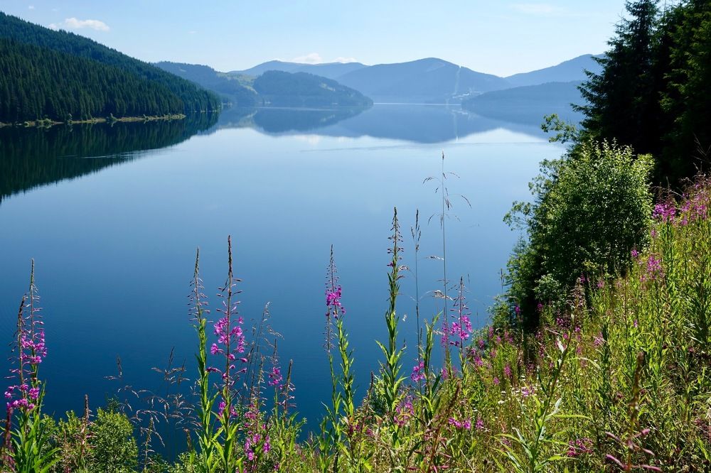 Голубое утро