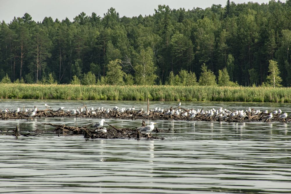 Photograph by Александр Кучумов