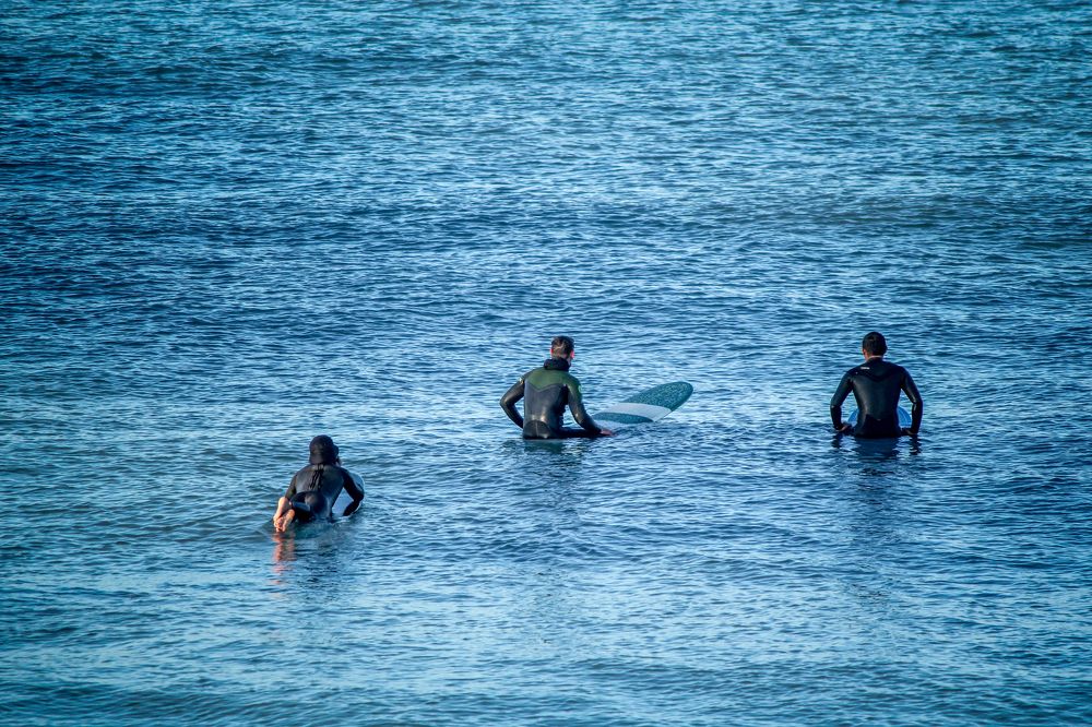 Фотография автора Maliyadewa Wadupola