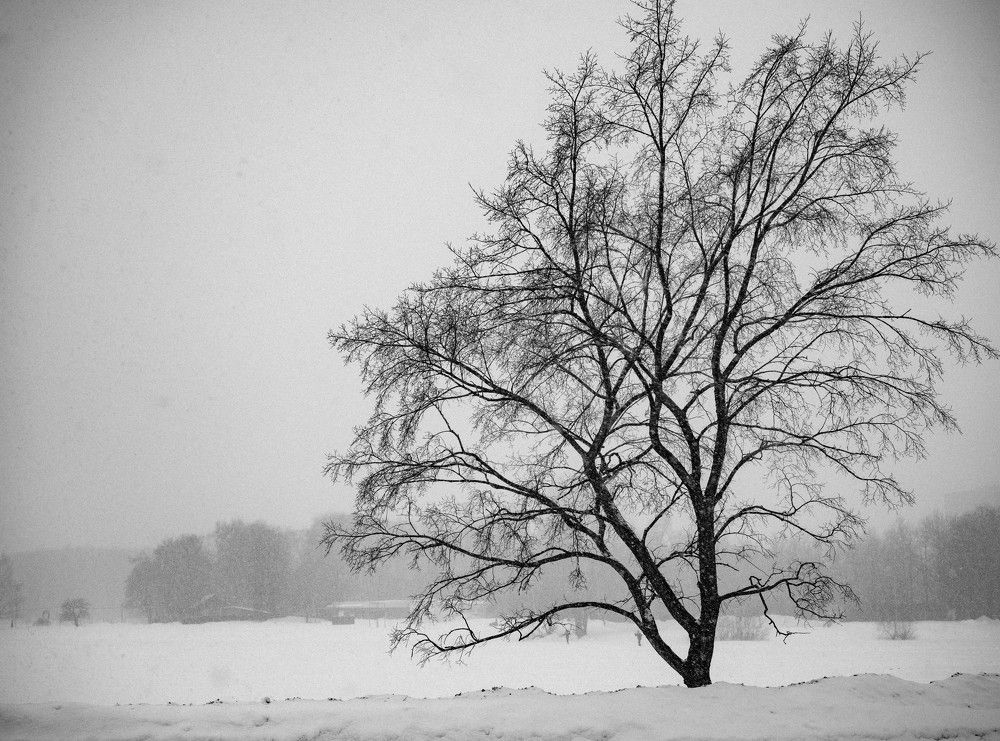 Photograph by Игорь Лобанов