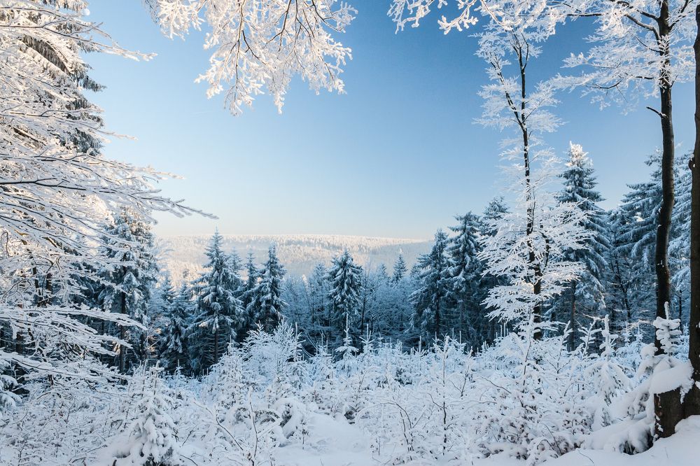 Photograph by Marek Durajczyk