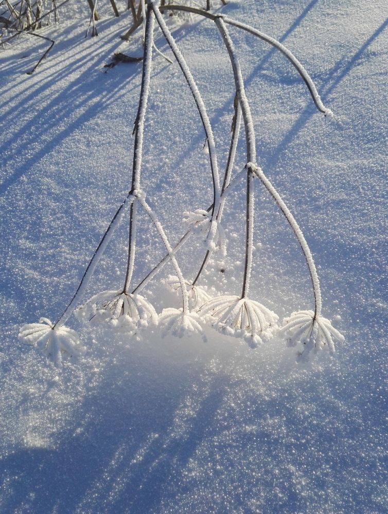 Свечение света.