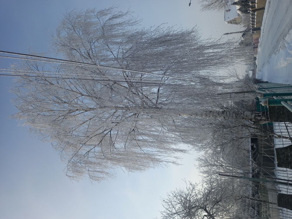 Photograph by Наталія Дронюк