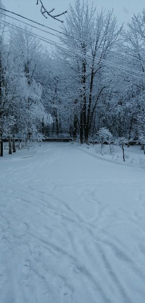 Photograph by Мила