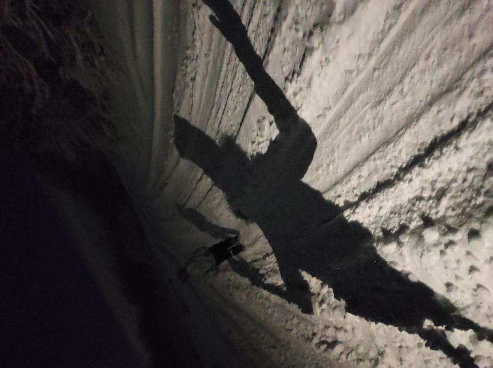 Photograph by Елизавета Можельская