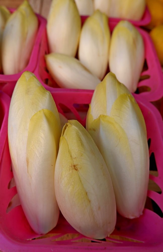 Photograph by Диана Арье