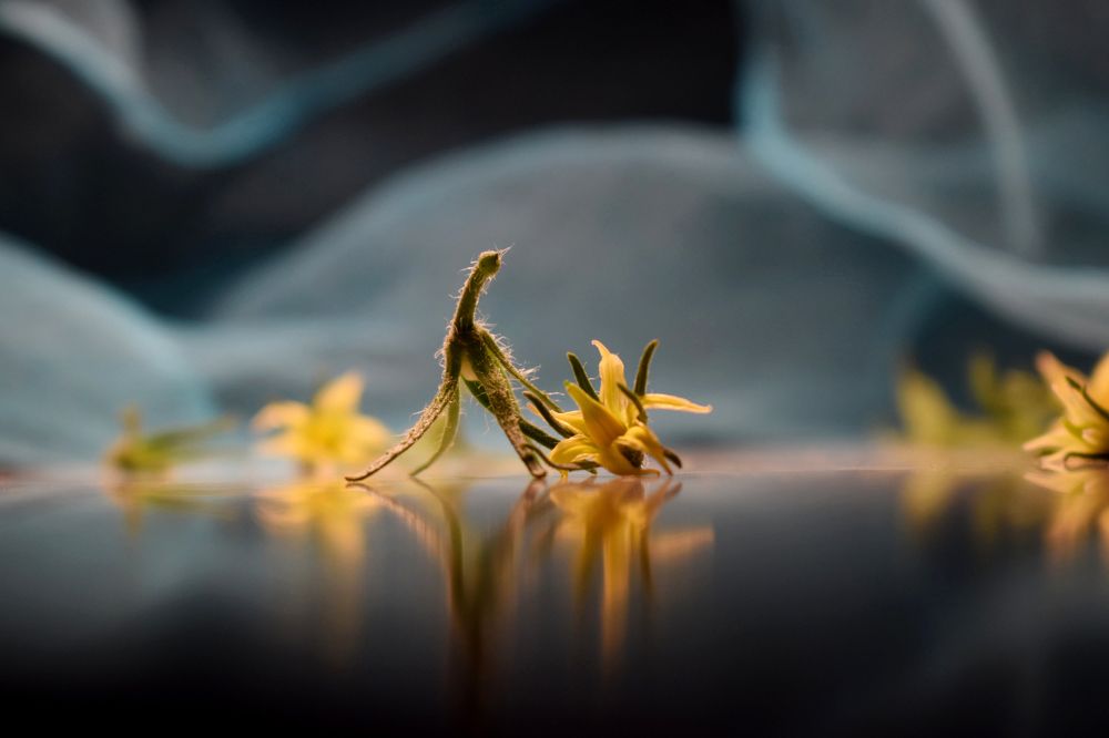 Photograph by Татьяна Золотарева