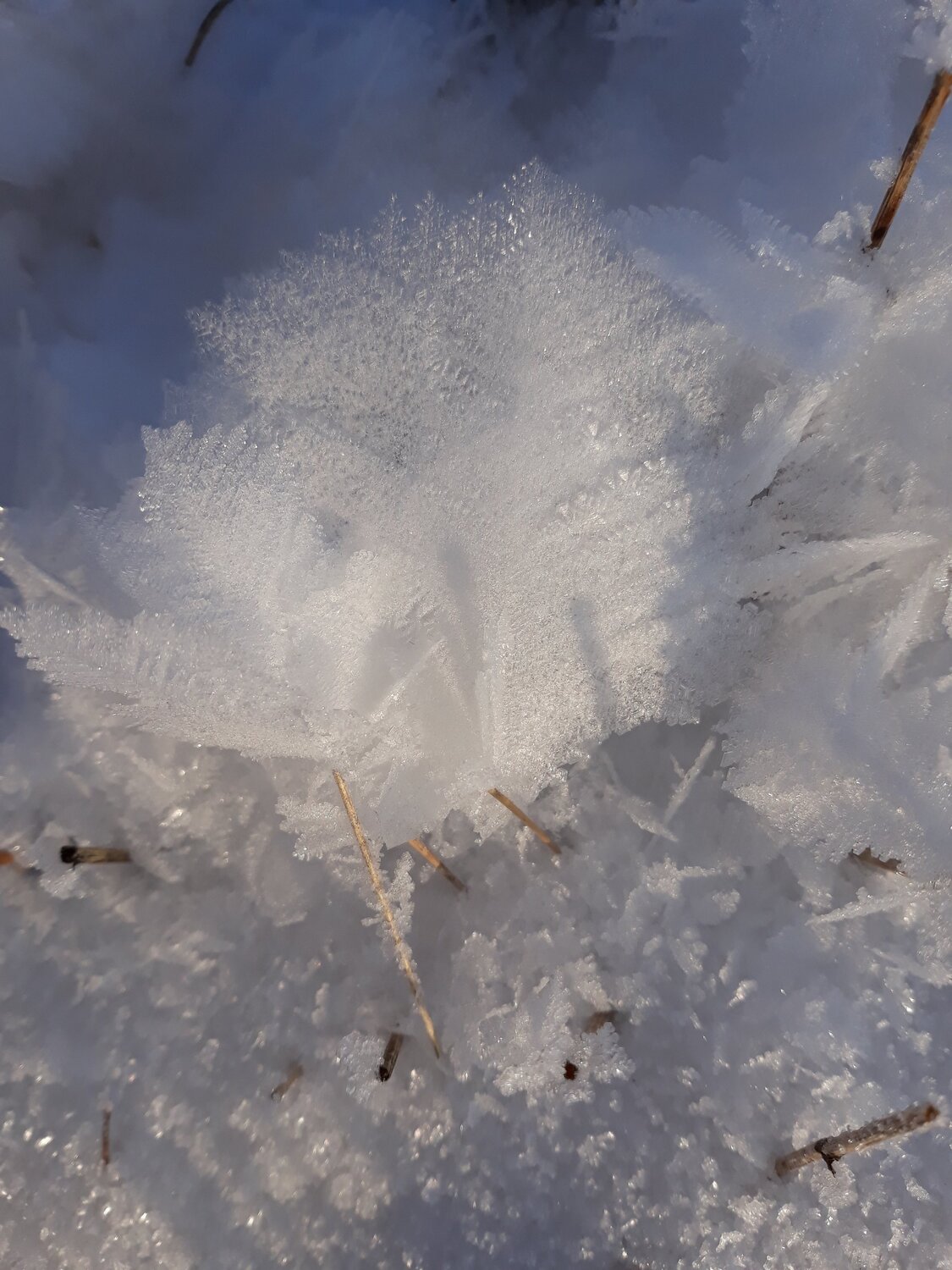 Photo #5878799