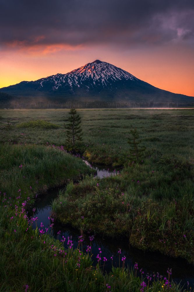 Photograph by bart slawinski