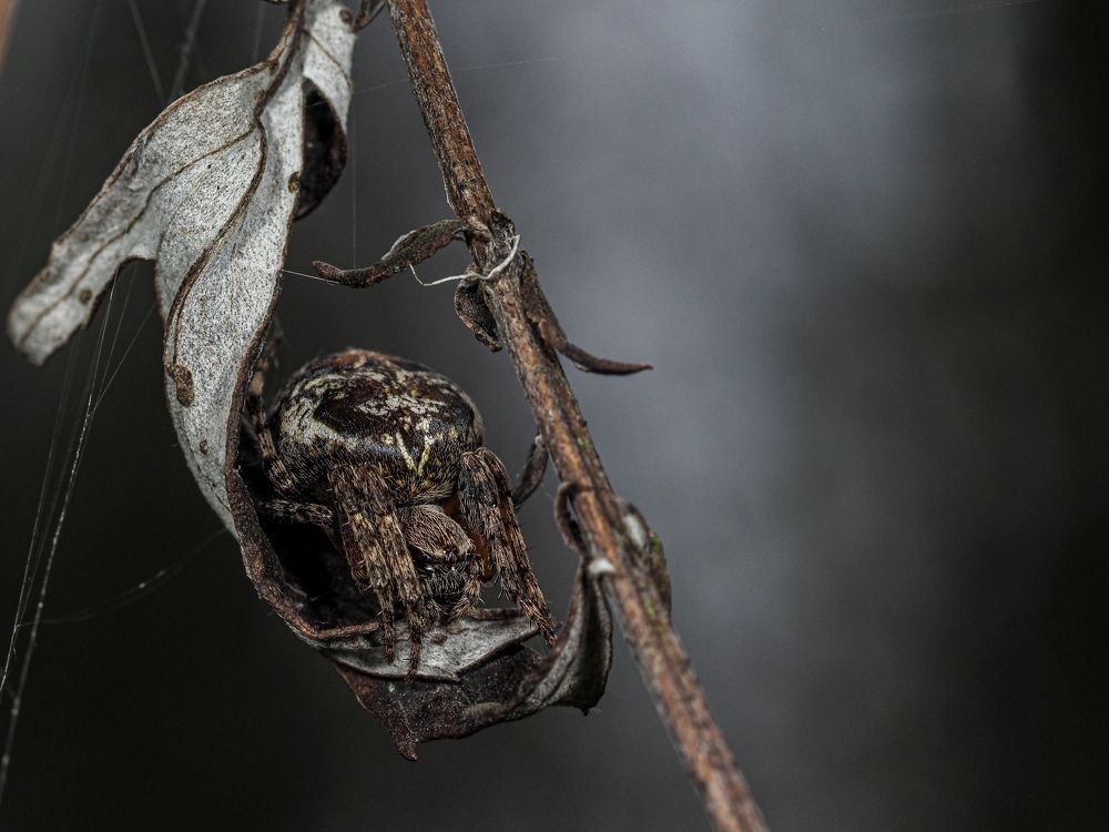 Photograph by Максим Кошелев