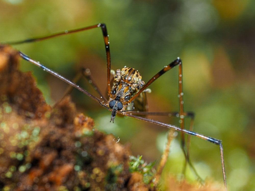 Photograph by Максим Кошелев