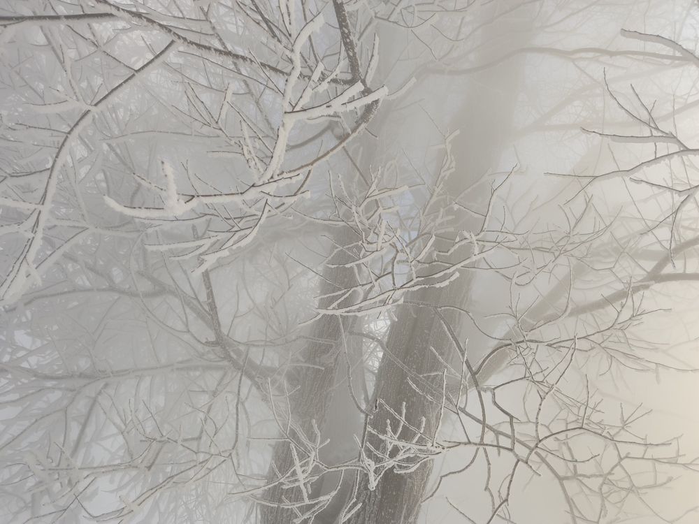 Photograph by Александра