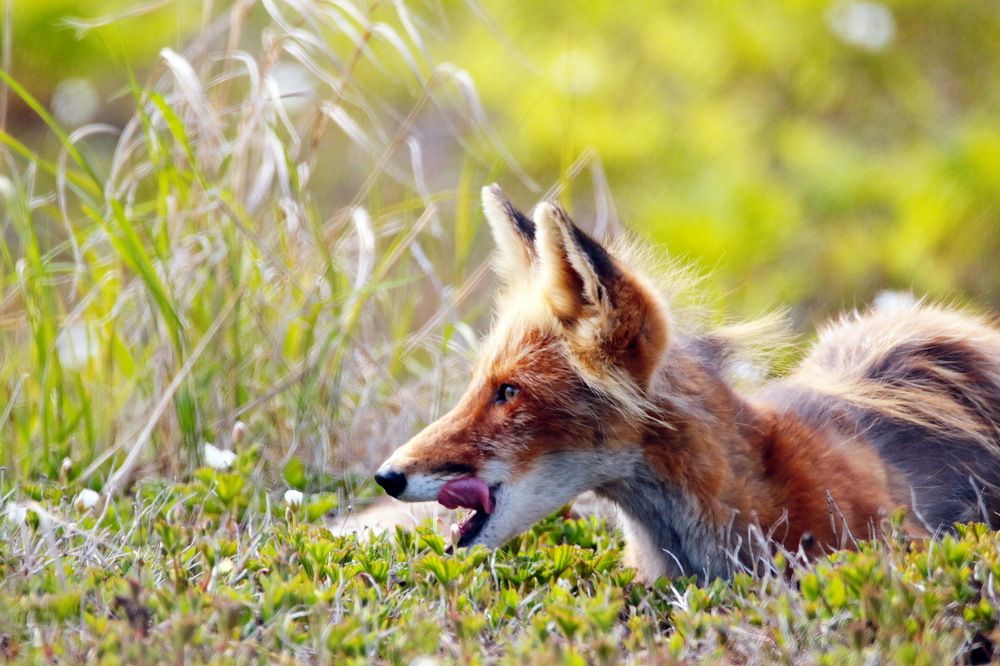 Утро нового дня