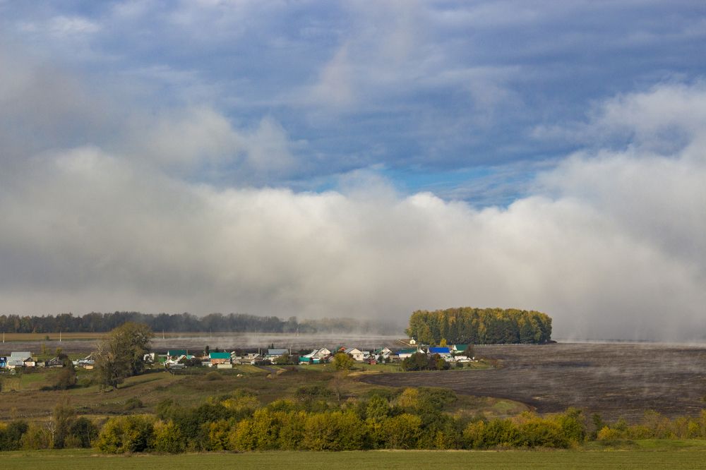 В гармонии с природой