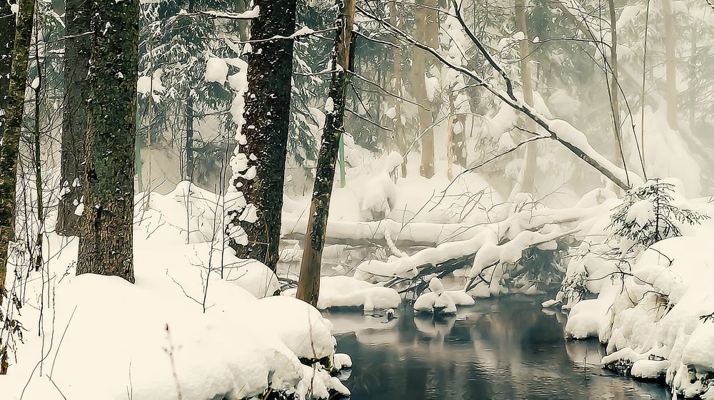 Фотография автора Юрий Цыркунов