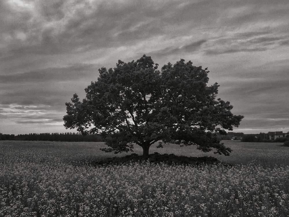 Фотография автора Максим Батурин