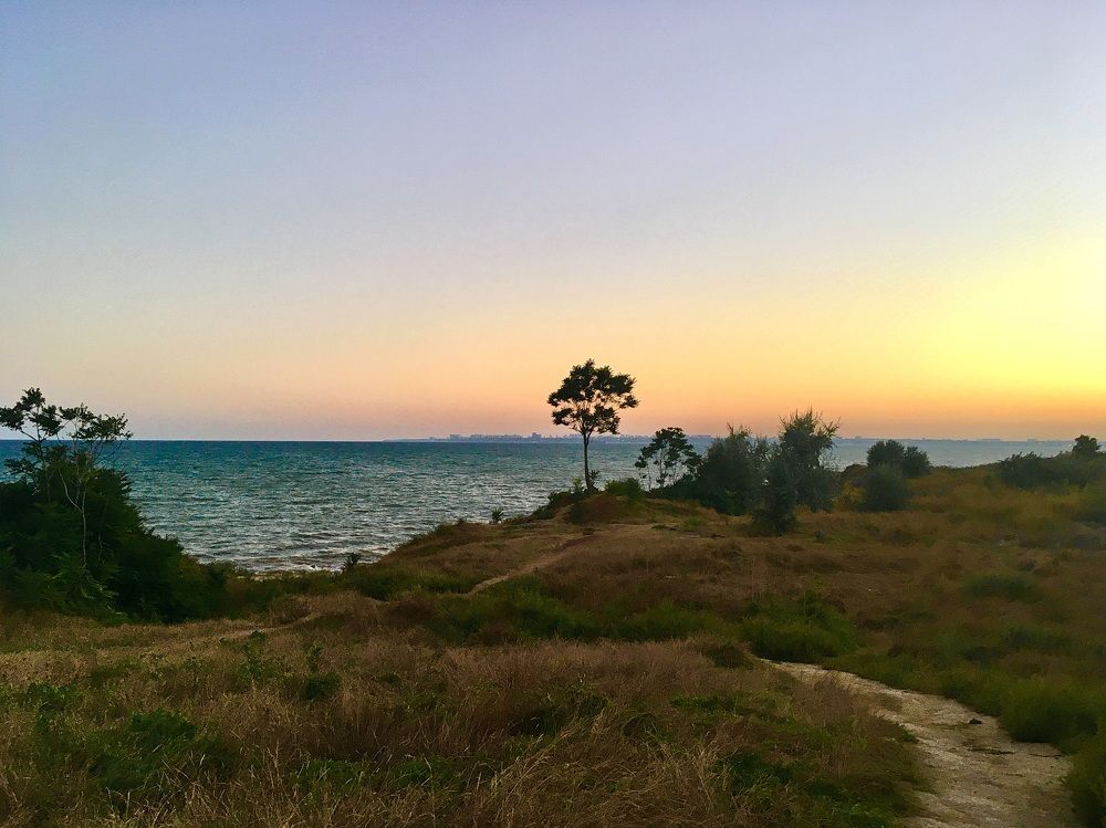 Photograph by Anna Krasova