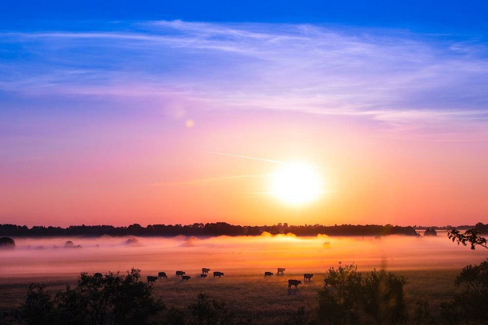 Photograph by Karina Saarestik