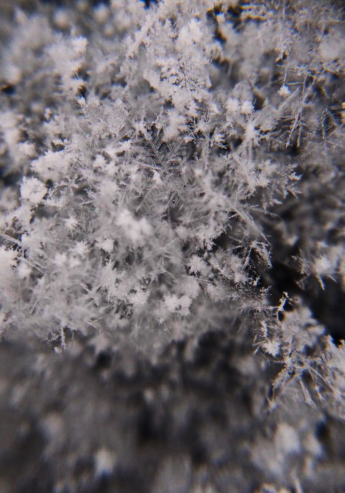 Photograph by Светлана Попкова