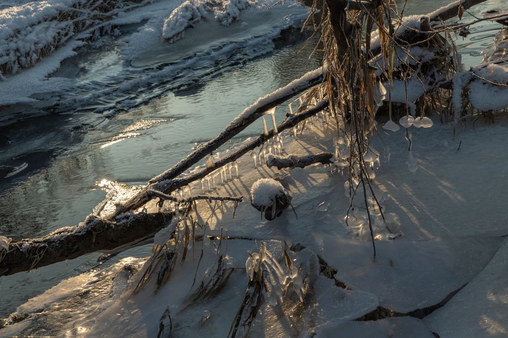 Photograph by Елена Копейкина