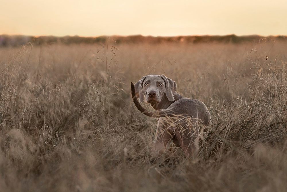 Photograph by Karina Saarestik