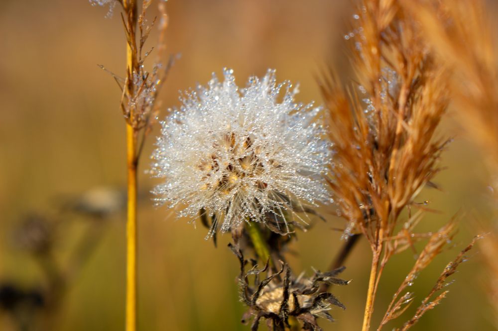 Photograph by  Татьяна