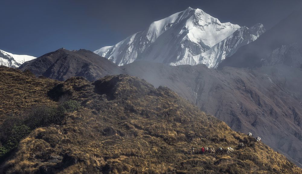 Photograph by Алексей Козаченко