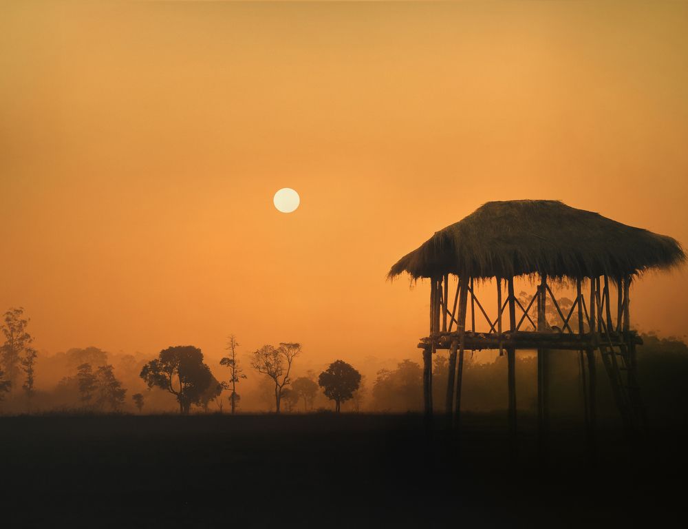 Фотография автора Shanu Sherief