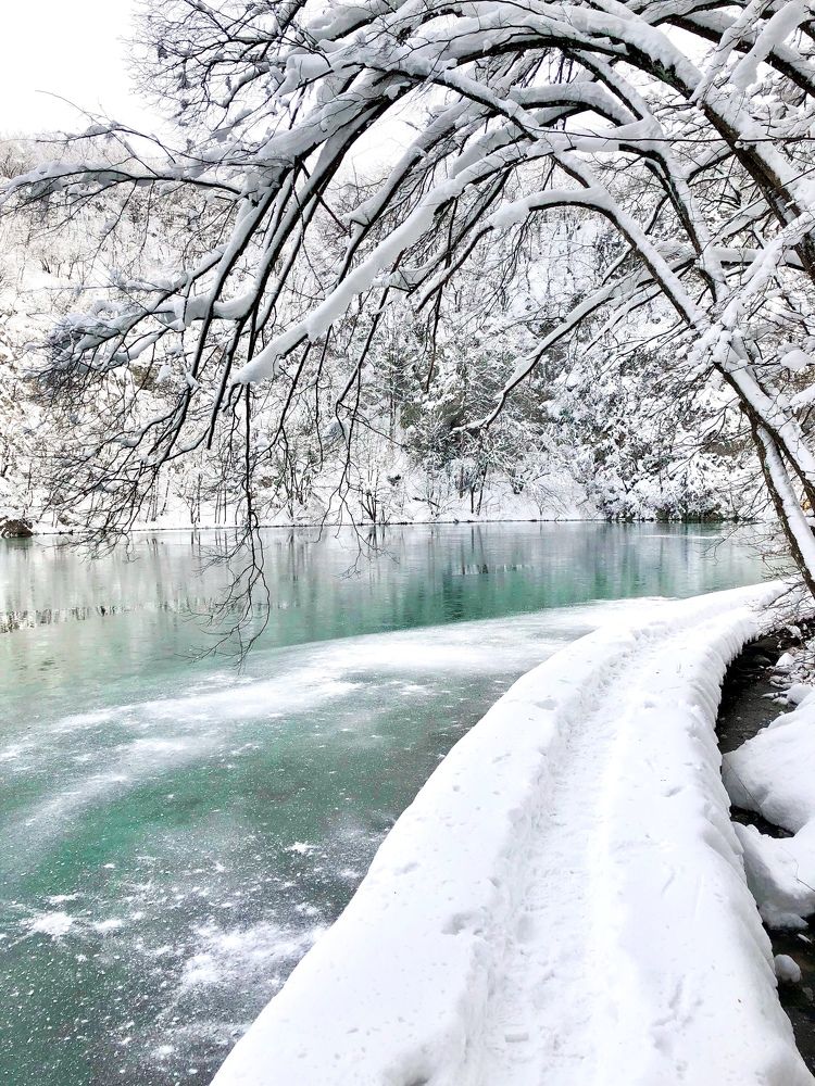 Photograph by Jasminka Đaković