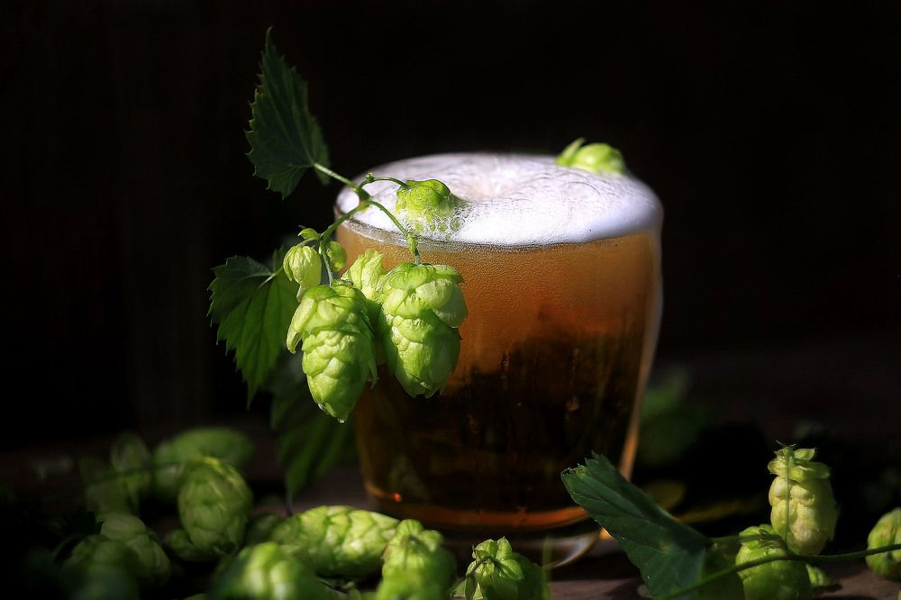 Хмельной натюрморт