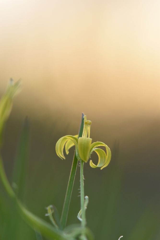Фотография автора Мария Рохмистрова