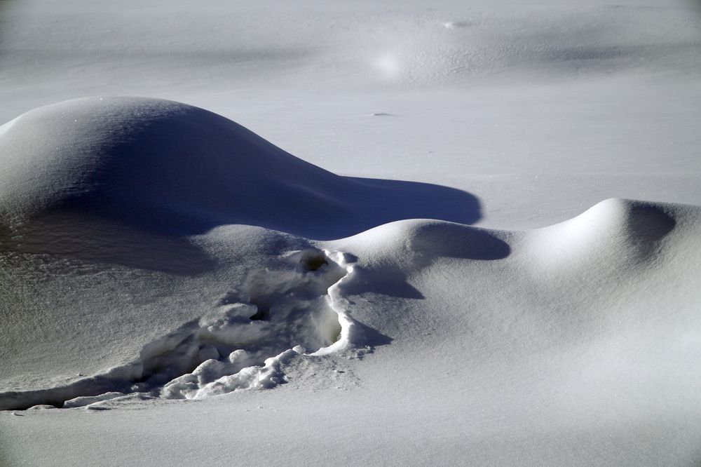 Photograph by Измаил Ефимов