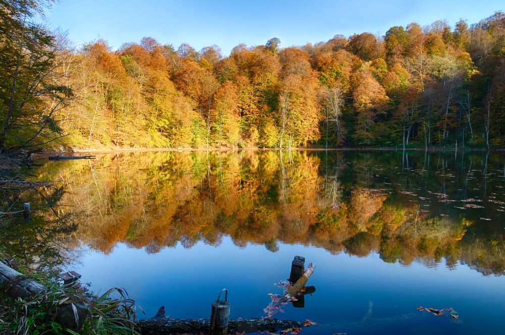 Photograph by Антон Калашников