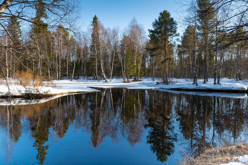 Photograph by Алексей Рычков